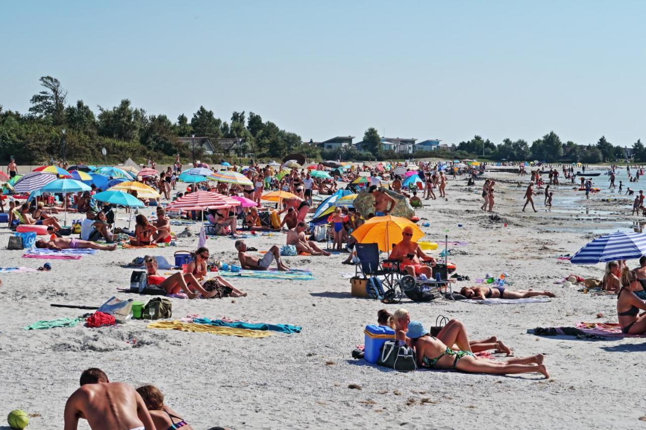 Ferienwohnung Direkt Am Strand In Makkum Kültér fotó